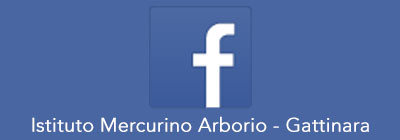 Istituto Mercurino Arborio - Gattinara